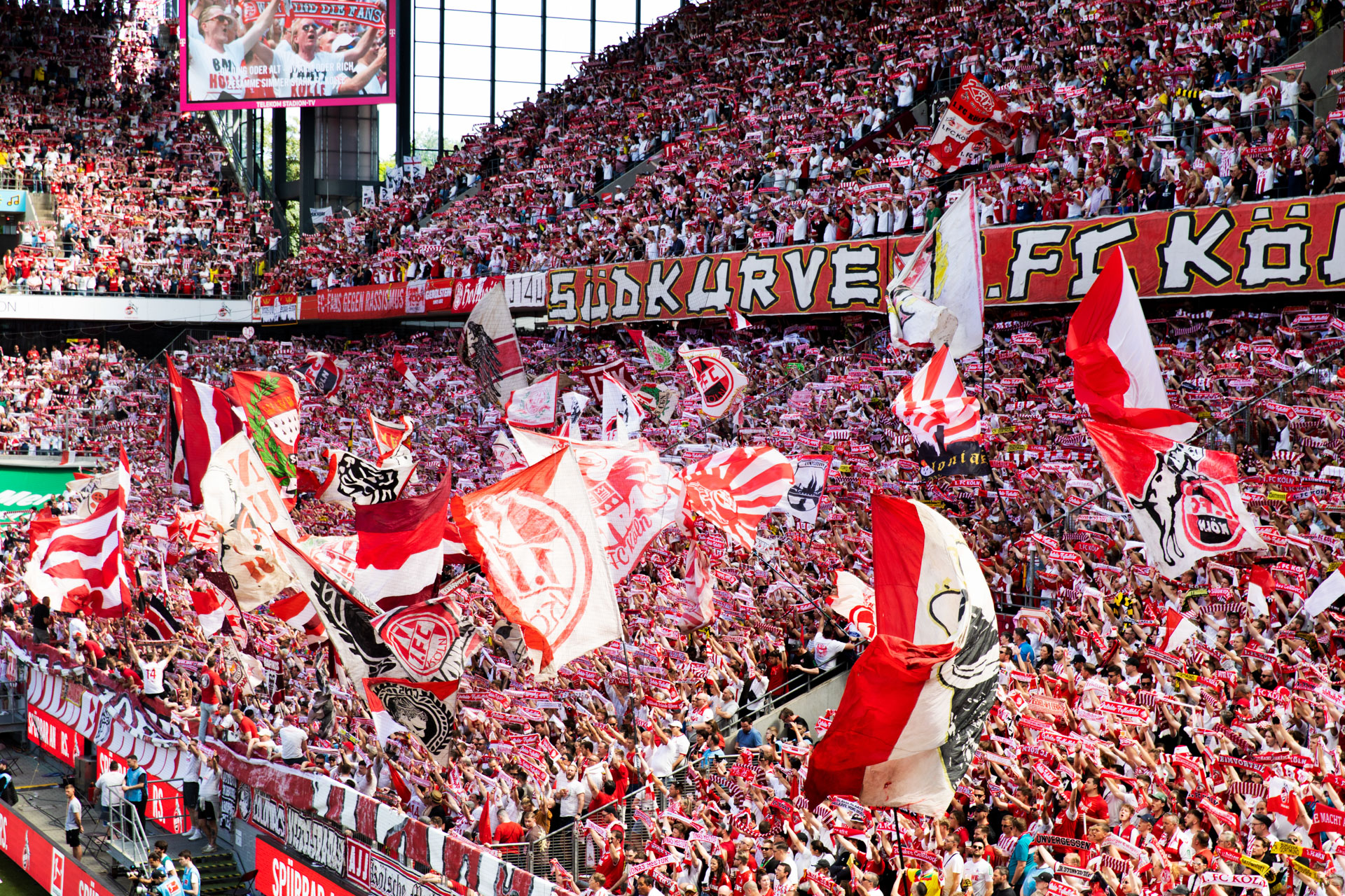 1. FC Koln