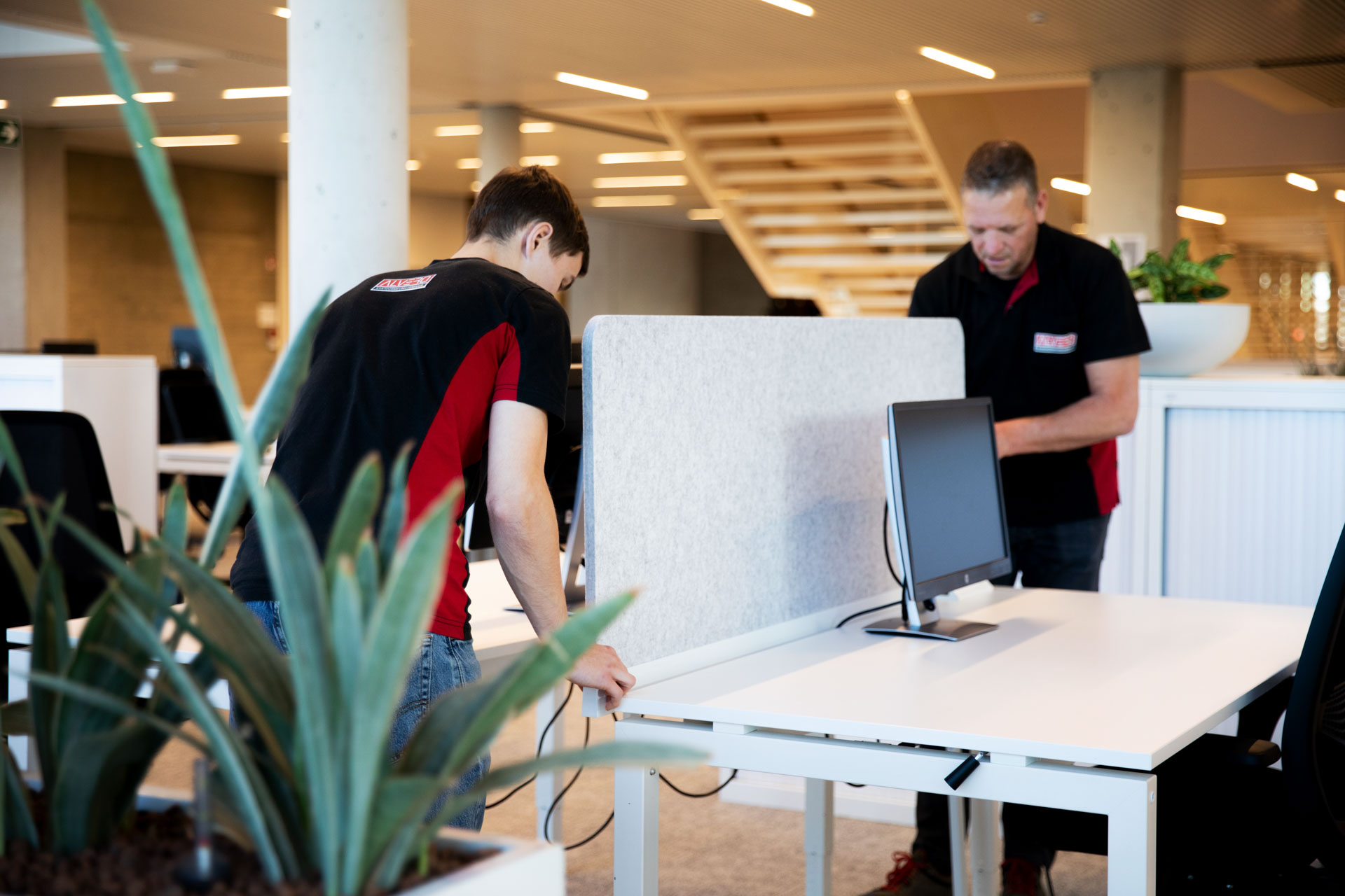 Akustikplatten, stehend oder zwischen Schreibtischen