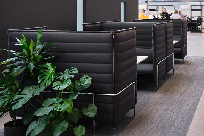 Akustische Softseating-Möbel mieten