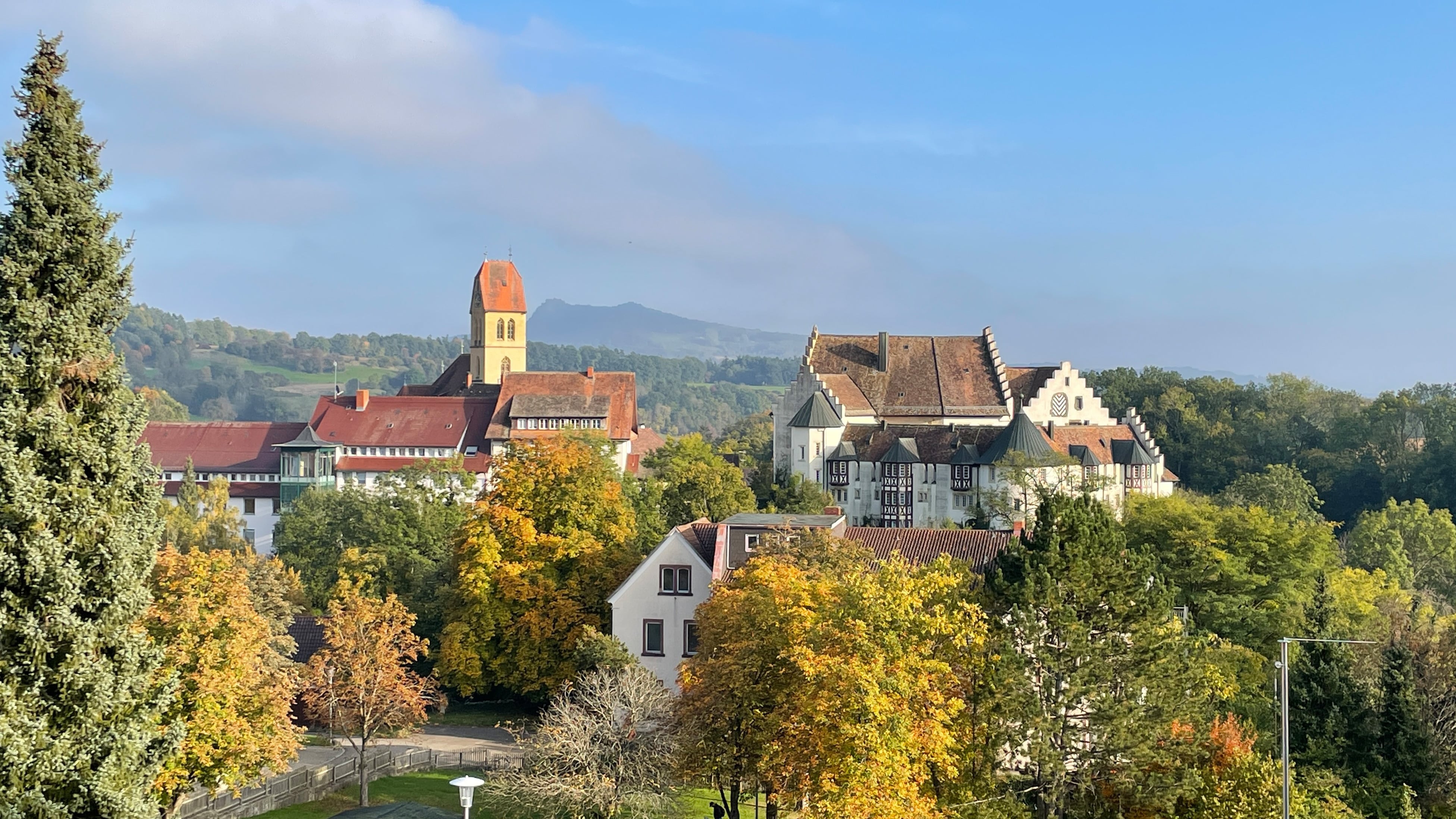 Schloss Blumenfeld, Tengen