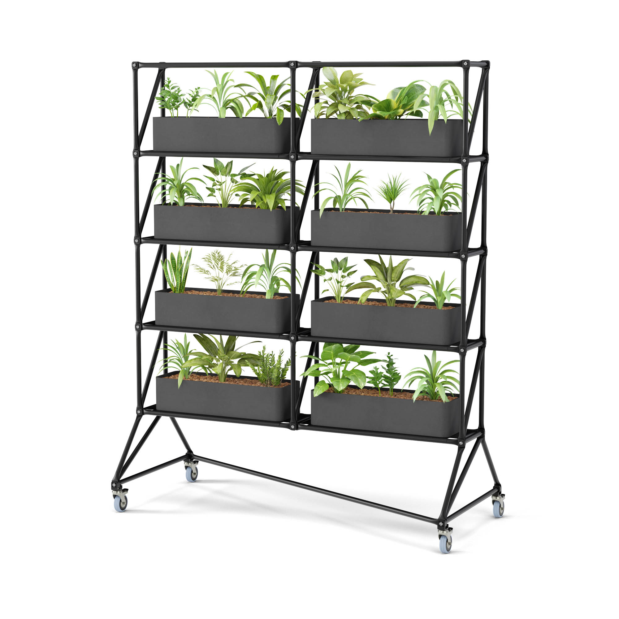 System 180 Garden Parti