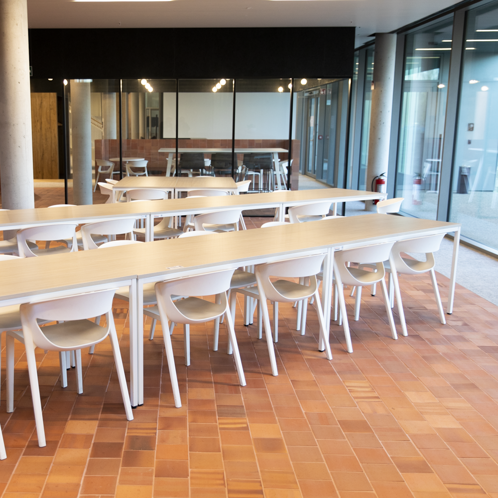 Alvero Basic desk